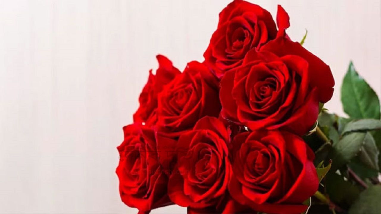 ৫০ টাকার নিচে কোনো ফুল পাওয়া যাচ্ছে না