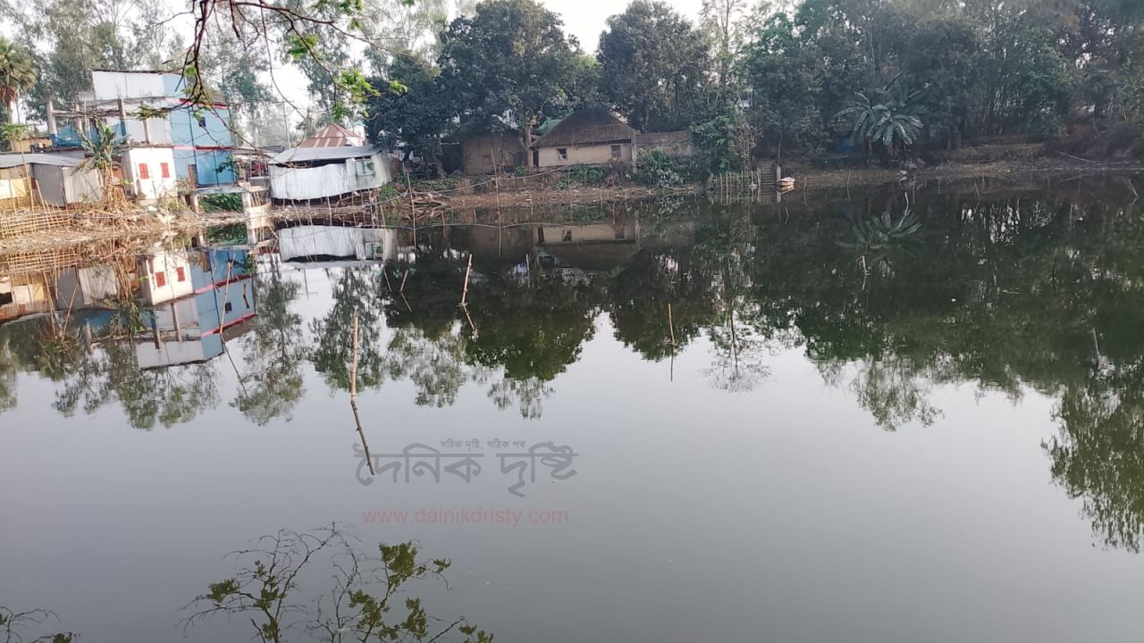 প্রভাবশালীদের থাবায় শেষ সম্বল পুকুরটিও হারালেন মুক্তিযোদ্ধা পরিবার 