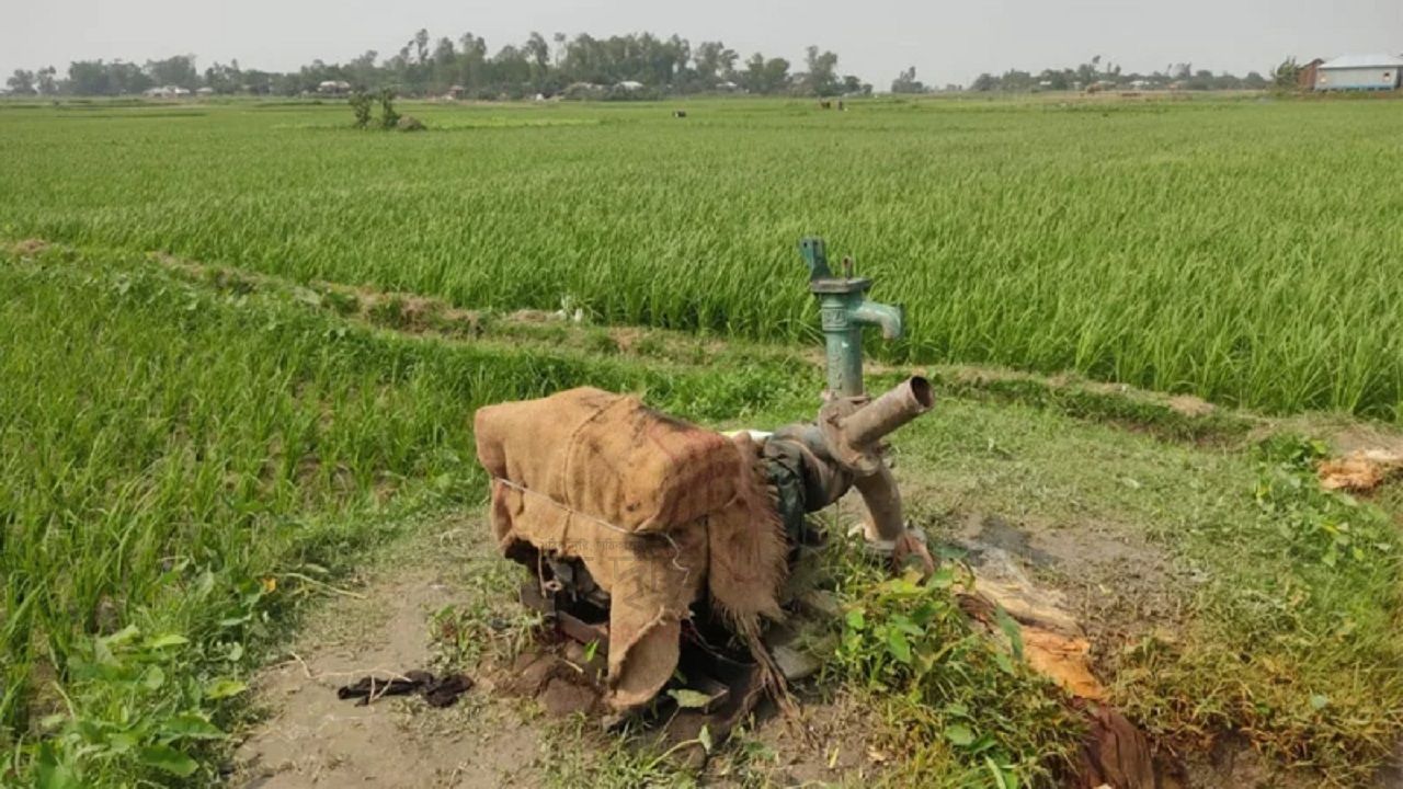 মাঠে ধান, কিন্তু ডিজেল নেই-কৃষকের চোখে অনিশ্চয়তার ছায়া