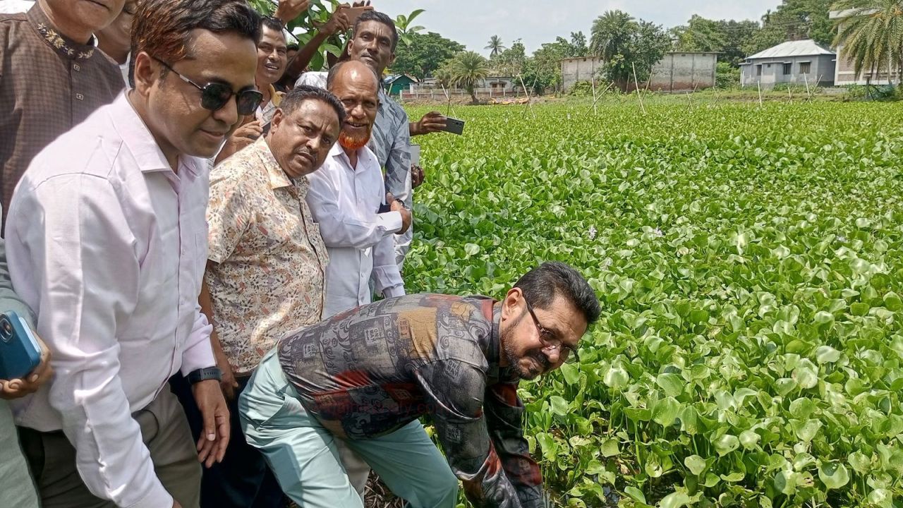 কচুরিপানা পরিষ্কারের উদ্বোধন করলেন এমপি আমীর এজাজ