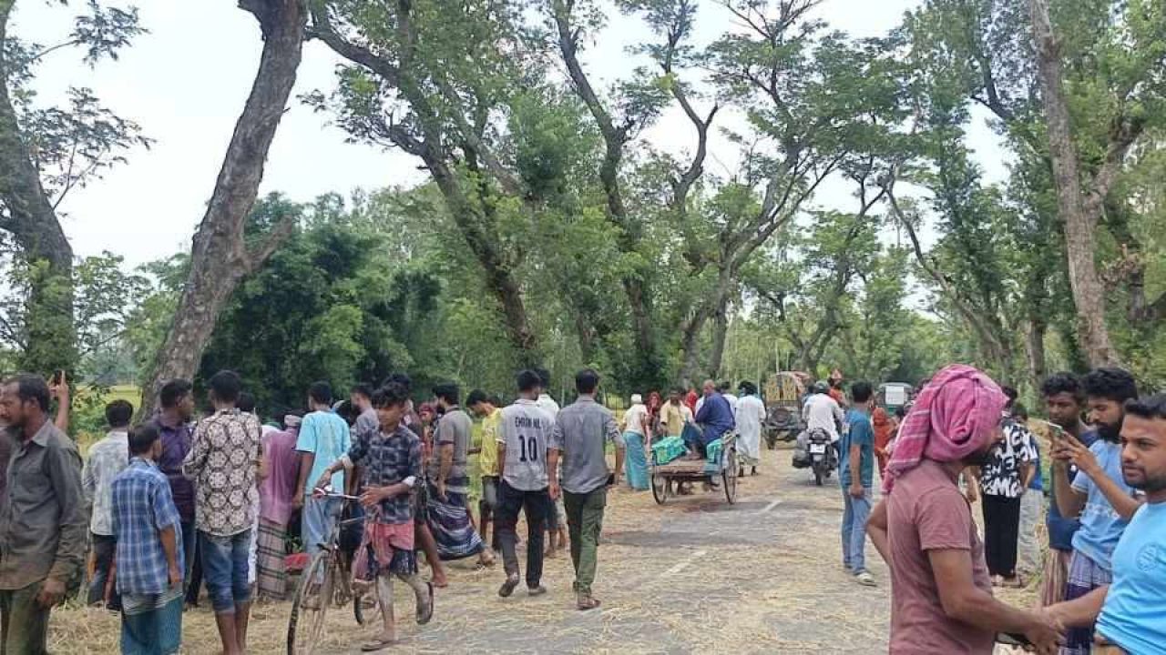 সড়কে শুকাতে দেওয়া খড় কেড়ে নিল মটরসাইকেল আরোহীর প্রাণ