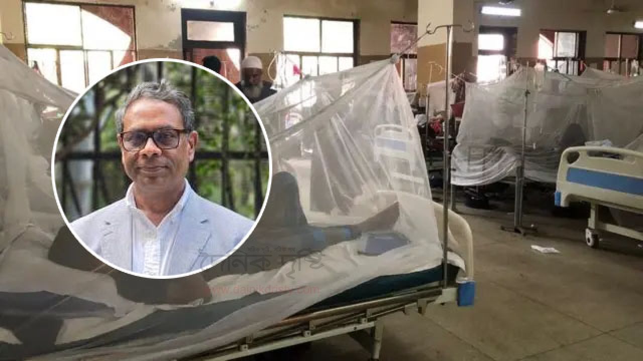ডেঙ্গু নিয়ে সবাইকে সতর্ক করলেন স্বাস্থ্য প্রতিমন্ত্রী